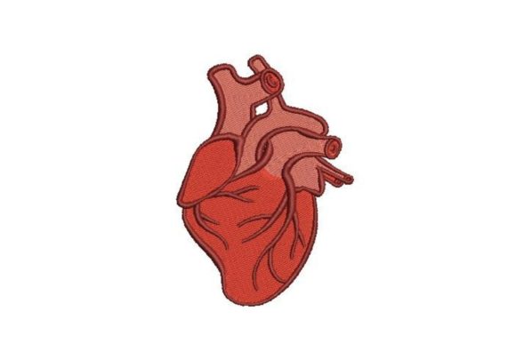 Anatomically Correct Heart: A Designer's Review for Personalized Gifts