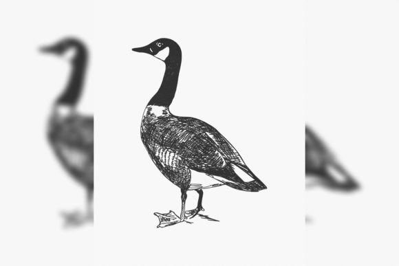 Canada Goose Branta Canadensis Embroidery Review