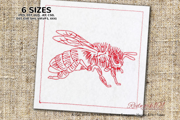 Close Up of Honeybee