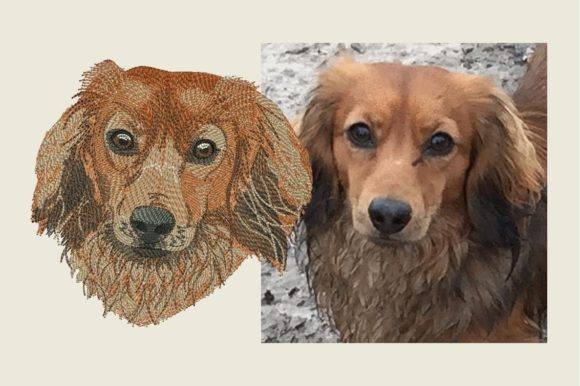 Longhaired Dachshund Embroidery Review